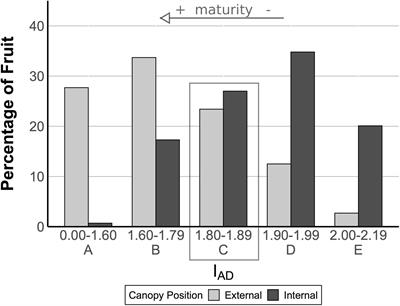 Transcriptomics of Differential Ripening in ‘d’Anjou’ Pear (Pyrus communis L.)